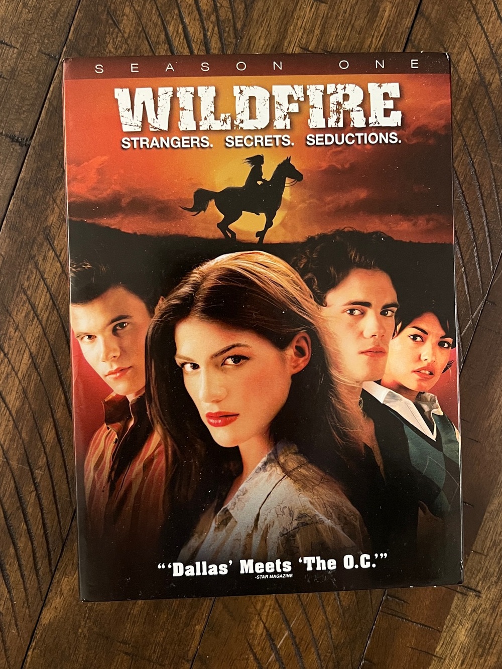 Wildfire Season 1 DVDs